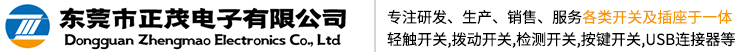 东莞市正茂电子有限公司